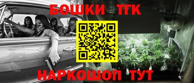 стафф Можга